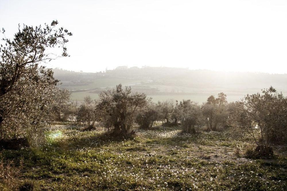 Masia Cal Millas - Turisme Rural Castellfullit de Riubregos Luaran gambar