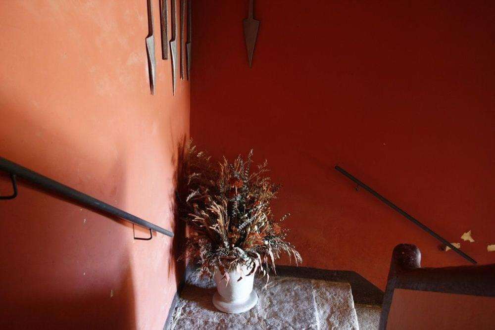 Masia Cal Millas - Turisme Rural Castellfullit de Riubregos Luaran gambar